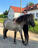 Unsere Pferde 57 - Islandpferde Dresden